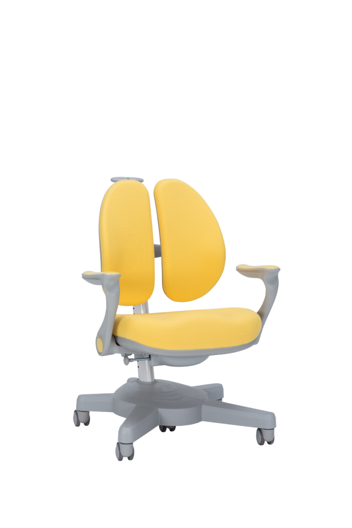 SY15020-SHANYE chair
